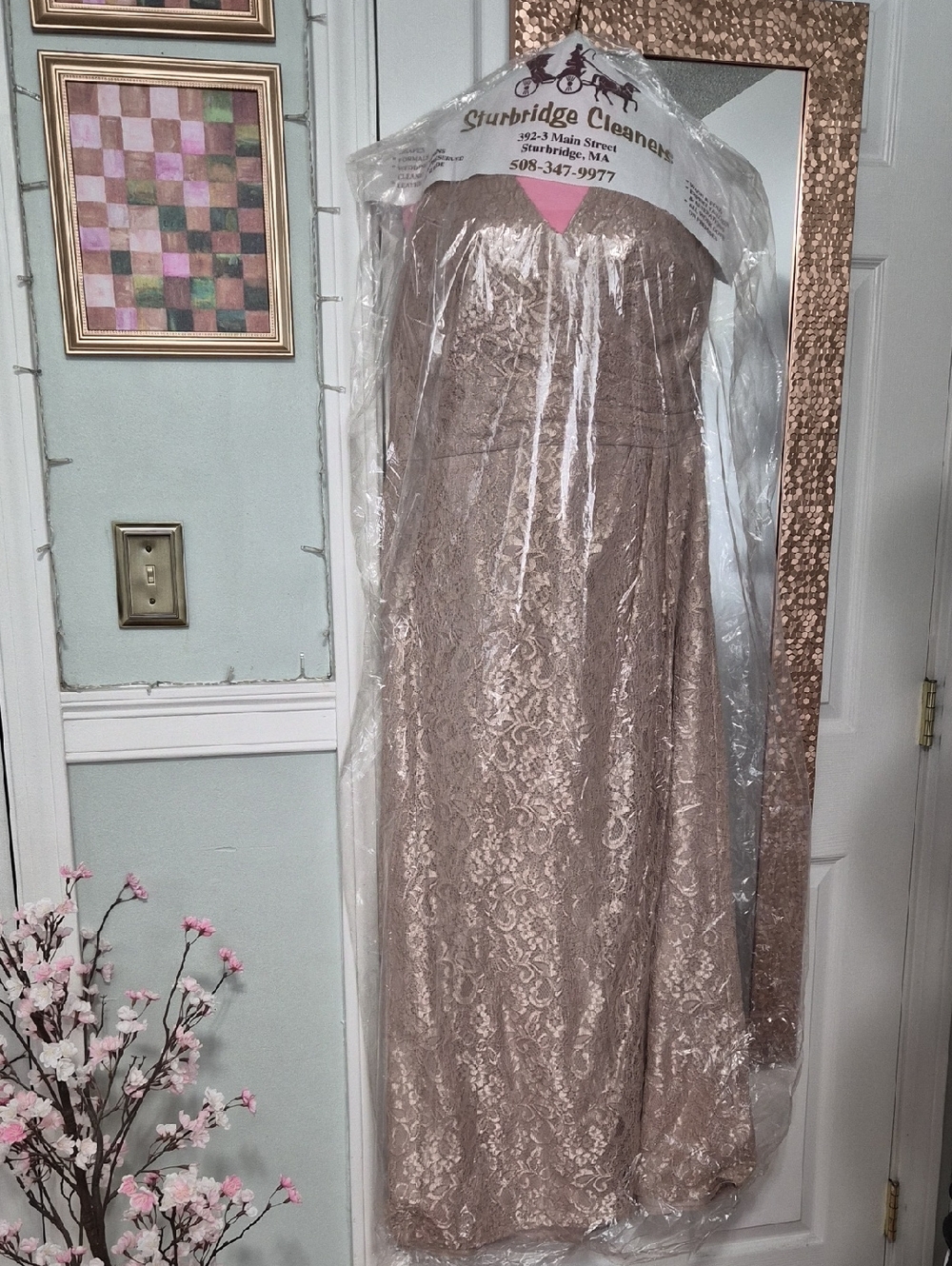 David's Bridal Formal Gown